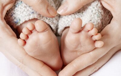 CMS-DONOR-feminine-site-box1-get-involved (1)