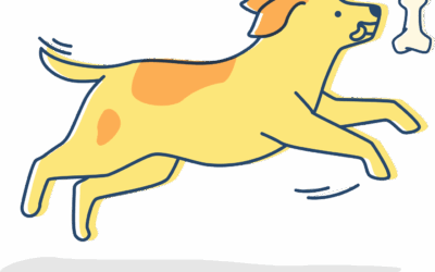 pet-trainer-illustration-12@2x