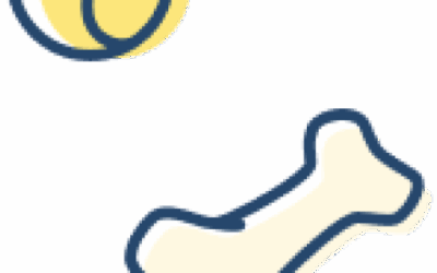 pet-trainer-illustration-14@3x