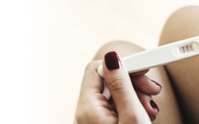 template-header-services